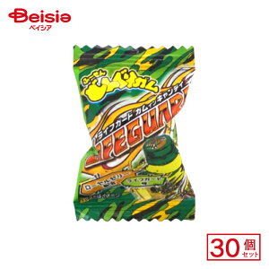 パイン どんぐりガム ライフガード 1粒×30個 | 駄菓子 おやつ 子供 お菓子 おつまみ 懐かしい 駄菓子屋 詰め合わせ 人気 お徳用 お祭り 縁日 景品 自治会 町内会 子ども会 まとめ買い