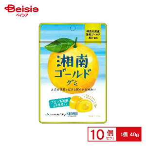 JlJHi ÓS[hO~ u_ۓ 40g×10 | ʉَq  q َq ܂  ʉَq lߍ킹 lC p Ղ  ii   qǂ ܂Ƃߔ