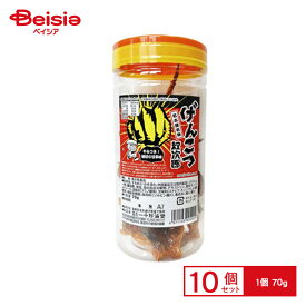 一十珍海堂 げんこつ紋次郎 70g×10個