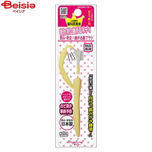 wXPA {pt Ȃ񎕃uVxr[p1{