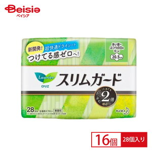 ԉ GXK[h`ӂ̓pH28 × 16Zbg | pi p ivL  pivL ivL H HivL