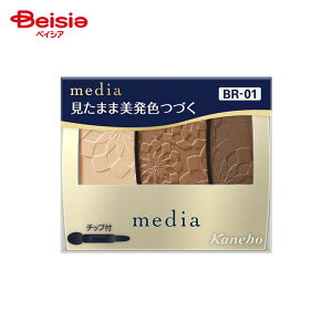 Jl{Eϕi fBAOfJ[ACVhEnbr01 3.1g