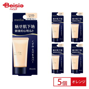 �J�l�{�E media ���f�B�A ���C�N�A�b�v�x�[�XR �I�����W ×5�Z�b�g | ���C�N�A�b�v �x�[�X �x�[�X���C�N ���␳ ���𐮂��� ���n ���ω��n �F�ނ�␳