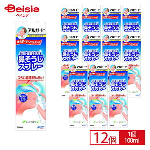 ロート製薬 アルガード鼻すっきり洗浄液 100ml ×12個セット 医薬部外品 風邪 花粉 ほこり 雑菌 スッキリ きれい 鼻洗浄液 鼻水 鼻うがい リムボトル さわやか ミントの香り | アルガード 鼻洗