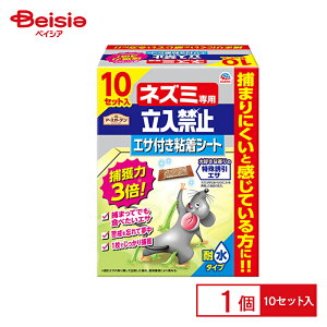 A[X A[XK[flY~p֎~GTtSV[g10Zbg