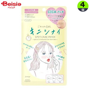 R[Z[ NA^[ ߂ˑfLjViCpb` 46×4