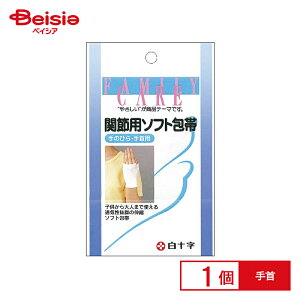 \ t@~[PA ֐ߗp \tgz[^C i1j