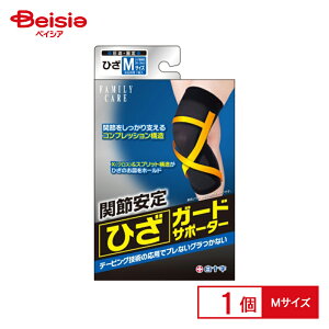 \ t@~[PA ЂK[hT|[^[ MTCYi1j