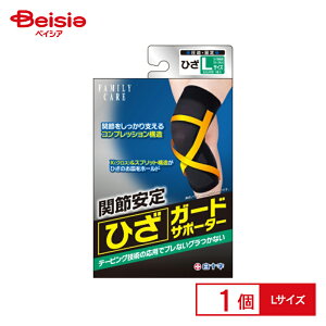 \ t@~[PA ЂK[hT|[^[ LTCYi1j