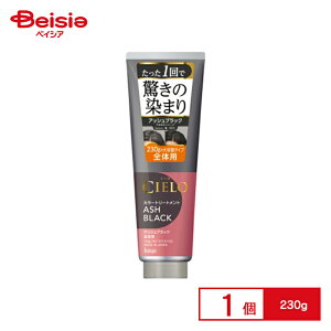 z[[ VG J[g[gg S̗p AbVubN 230g