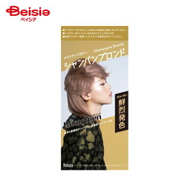 ホーユー ビューティーン メイクアップカラー シャンパンブロンド 40ml+88ml