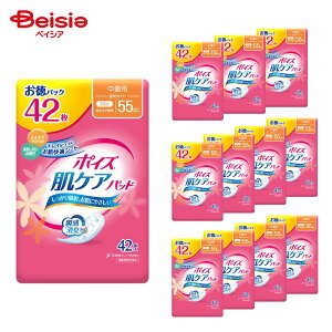 y|Cg10{11/20-27܂Łz|CYpbhyCgp 55cc 42×12Zbg | |CYpbh ARpbh Apbh p zpbh 55cc yCg p ܂Ƃߔ lp 