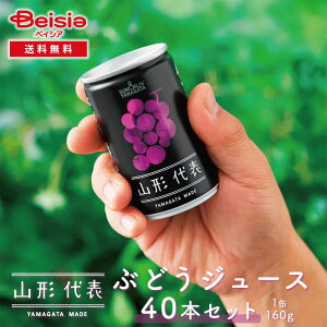 Tu R`\ ԂǂW[X40{^i160g×20{j×2 | R`Y Y ԂǂW[X 160g 40{ Xg[gW[X ʏ`100%  W[X Mtg ܂Ƃߔ