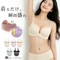 61% OFF【期間限定：1枚1485円！2枚購入クーポンで】ブラジャー ショーツセット ノンワイヤーブラ 上下セ…