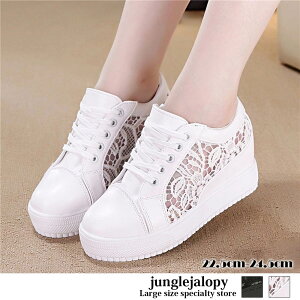 傫TCY fB[X Xj[J[ [XV[X[ ؂ւ V[Y  C / LL-4L ZNV[ rbOTCY {[CbV ̌^Jo[  gh lZu ZJW COZu 