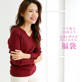 大きいサイズ レディース 10枚入り 福袋 訳あり福袋 2025 バーゲン M L LL 3L 4L 5L ワンピース ニット カットソー パーカー デニム パンツ スカート トップス ボトムス 詰込み レディース ファッション 韓国ファッション