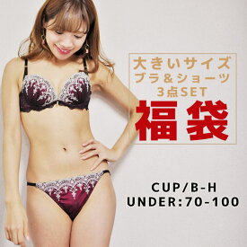 大きいサイズレディース ブラジャー&ショーツ 3セット下着 福袋 インナー [B85〜I100] ブラセット ブラ&ショーツ 3組入り レディース インナー福袋 グラマー ブラ福袋 アンダー90 アンダー100 Dカップ Eカップ Fカップ Gカップ Hカップ Iカップ 2026福袋 大きいサイズ