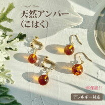 楽天市場】べっ甲（種類（宝石）アンバー・琥珀）（ジュエリー  