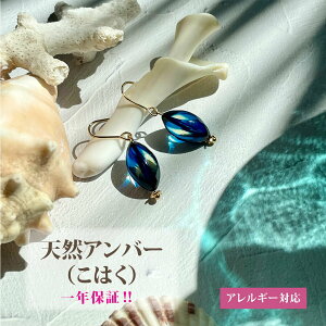 �y�V�R���߁z �����A�����M�[�Ή� �s�A�X R20220802 �y���{���z �y���������z �{�� ���͂� �u���[�@�A�N�Z�T���[ ���f�B�X �W���G���[ �p���[�X�g�[�� ���� �V�R�f�� �V�R�� �y�� �h��� �a��