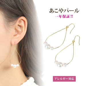 yVRp[zVRARp[ AM[Ή Ԃ牺 h sAX R20221105 y{z yz{ AR^ p[ t[v@@ANZT[ fBX ANZ WG