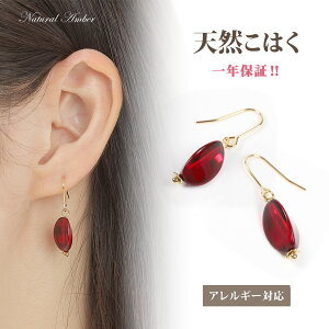 yVR߁z AM[Ή sAX R20250301 y{z yz { ͂ bh@ۋʁ@Jbg@ANZT[ fBX WG[ p[Xg[  VRf VR y