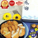 【豊留(いか天 父の日ver.) 2025年 父の日】[クール便配送] さつまあげ いか天 さつまいも天 にら天 小判天 五色揚げ 大棒天 枝豆 さつま揚げ 天ぷら かまぼこ ギフト 甘くない 食べ