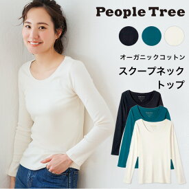 PeopleTree ピープルツリー オーガニックコットン ベーシックスクープネックトップ（返品不可）メール便使用 ヘビロテアイテム GOTS認証 オーガニックコットン100％