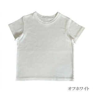 y݁zTAKEFU |z LbYTVc asobo! [֎gp q LbY xr[ TVc n Ԓ|K[[ |K[[ { it@ it@ q R Ags[ _ I[K