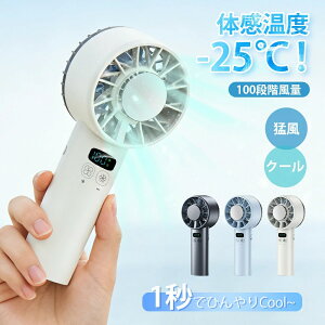 ���[���n���f�B�t�@�� ��p�v���[�g ��@ �n���f�B�t�@�� �g�ѐ�@ �y�� 5200mAh ��p�v���[�g -25����p �莝����@ 100�i�K���� 90°�p�x���� ��e�� 12���H�� �ڐG�⊴ ���^��@ �啗