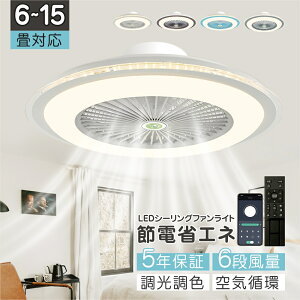 撅10l֌40%OFF[V[Ot@ V[Ot@Cg LED T[L[^[ V[OCg Px 8 10  F ʒ߉ 铔 t@t Cz Ɩ