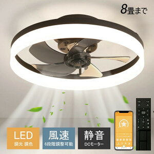 X[p[SALEԒP10{y6Nۏ؁zV[Ot@Cg V[Ot@ LED R 6 8 F Ɩ  Vv DC[^[ ʒ Cg VƖ r