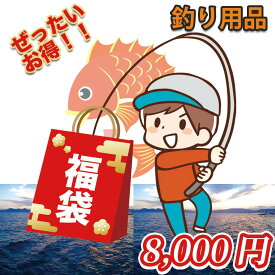 【送料無料】 あす楽 釣り用品福袋 釣り 福袋 釣り用品 ルアー カバン フィッシング バッグ フィッシュグリップ プライヤー バケツ PEライン 約30点商品 ハッピーバッグ