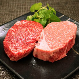 父の日 ギフト 早割 プレゼント 飛騨牛 食べ比べ セット ヒレ&ランプ ステーキ 1,200g 1.2kg A5 A4 (各100g × 6枚) [送料無料] | 肉 牛肉 和牛 結婚祝い 出産祝い 内祝い お返し ヒレ肉 赤身 ステーキ肉 肉 還暦祝い あす楽 シャトーブリアン