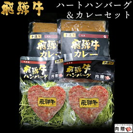 飛騨牛 ハートハンバーグ & カレー セット A5 A4 [送料無料] | 結婚祝い 出産祝い 内祝い お返し プレゼント 出産 結婚 贈り物 ペア 松阪牛 神戸牛 米沢牛 近江牛 あす楽 肉 お肉