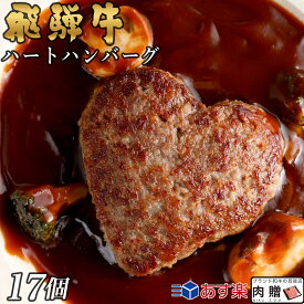 お歳暮 肉 ギフト 早割 飛騨牛 ハート ハンバーグ 食べ比べ ギフト 17個セット A5 A4 [送料無料] | 結婚祝い 出産祝い 内祝い お返し 出産 結婚 贈り物 ペア 松阪牛 松坂牛 神戸牛 米沢牛 近江牛 あす楽 肉 お肉 御中元 肉