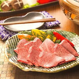 まだ間に合う 母の日 プレゼント 飛騨牛 焼肉 ギフト 特上 霜降り&赤身 食べ比べ セット 700g A5 A4 [送料無料] | 肉 黒毛和牛 焼肉 牛肉 結婚祝い 出産祝い 内祝い 敬老の日 肉 ギフト券 商品券 カタログ 目録 赤身