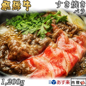 yLINE500~OFFN[|zˋ Ă o 1,200g 1.2kg A5 A4 [] | a ₫   j oYj j Ԃ p o a v[g