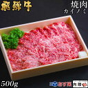 飛騨牛 焼肉 カイノミ 500g 3〜4人前用 A5 A4 [送料無料] | 和牛 牛肉 焼肉 鍋 結婚内祝い 出産祝い 内祝い お返し ギフト用 ヒレ 誕生日 プレゼント