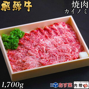 yLINE500~OFFN[|zˋ ē JCm~ 1,700g 1.7kg 9`12lOp A5 A4 [] | a  ē  j oYj j Ԃ Mtgp q a v[g