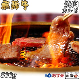 飛騨牛 焼肉 カルビ 500g A5 A4 [送料無料] | 和牛 焼肉 牛肉 鍋 結婚内祝い 出産祝い 内祝い お返し 贈答用 カルビ 誕生日 プレゼント