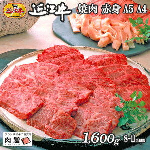 yLINE300~OFFN[|zΕ Mtg ߍ] Mtg ē Ԑg 1,600g 1.6kg A5 A4 [] | Ε  a ₫  j oYj j Ԃ Mtg p J^O A