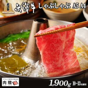 đ Ԃ A4 A5 u[X Mtg 1,900g 1.9kg [] | ސEj zj Vzj ii 񎟉  a ~ Ԑg MtgZbg A5 Cj җj j oYj
