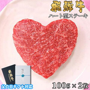y̓ 2025N  bsO z Mtg 킢^ˋ Mtg n[g^ Xe[L 100g×2 A5 A4 [] | O  v[g   `  ⋍ MtgZbg a 