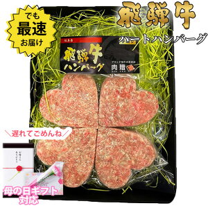 yΕ 2025N  bsO zˋ n[g no[O uK̃N[o[Ov Mtg 4Zbg A5 A4 [] | O  v[g   `  ⋍ MtgZbg 