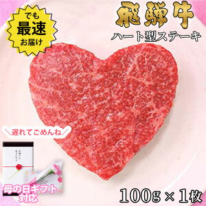 yΕ 2025N  bsO z Mtg 킢^ˋ Mtg n[g^ Xe[L Ԑg  100g×1 A5 A4 [] | O  v[g   `  ⋍ MtgZb