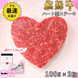 yΕ 2025N  bsO z Mtg 킢^ˋ Mtg n[g^ Xe[L 100g×2 A5 A4 [] | O  v[g   `  ⋍ MtgZbg a 