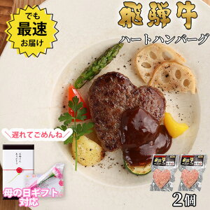 yΕ 2025N  bsO zMtguno[OIˋ g n[g ^ no[O 2ZbgvO  v[g   `  ⋍ MtgZbg a 