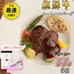 yΕ 2025N  bsO zMtg no[O  ˋ n[g Hה Mtg 5Zbg A5 A4 [] | O  v[g   `  ⋍ MtgZbg a 