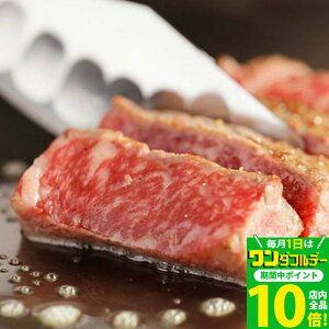 yLINE500~OFFN[|zΕ Mtg ˋ Mtg Vg[uA Xe[L 400g A5 (100g × 4) [] | Mtg j oYj  Ԃ a v[g 