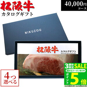 ㋍ J^OMtg 4~R[X 10i 4Iׂ MA4 j Vzj oYj j Ԃ O 40000~ Hו v[g  Fl  ⋍ Mtg   a